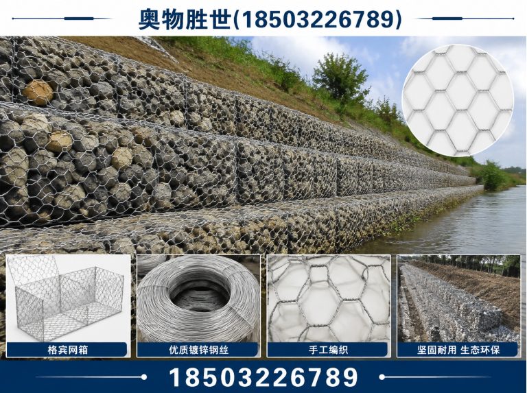 昌都雷诺护垫展示图